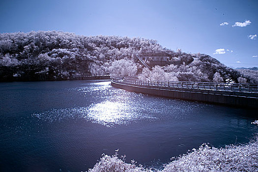 陈家沟雪景