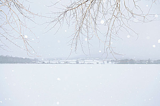 自然风光,风景,积雪