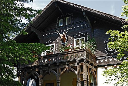 历史,别墅,木质,阳台,高山,风格,巴贝尔斯堡,勃兰登堡,德国,欧洲