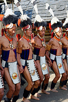 部族,男人,传统服装,表演,仪式,跳舞,犀鸟,节日,印度,亚洲