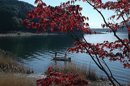 日本河口湖风光