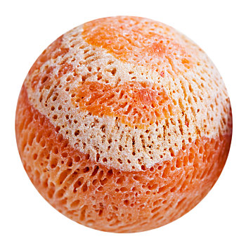 球,橙色,海绵,珊瑚,宝石,隔绝
