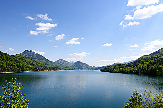 湖,萨尔茨卡莫古特,区域,萨尔茨堡,奥地利,欧洲