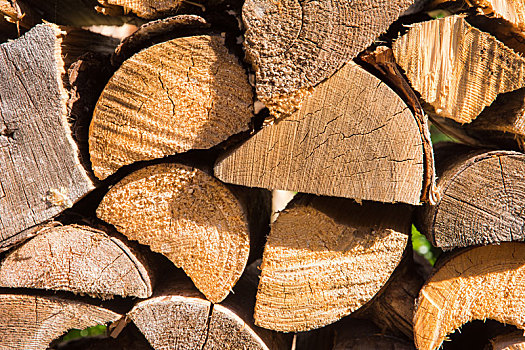 木堆,切削,木柴