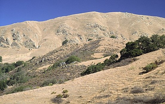 树,山,顶峰,圣克拉拉,山谷,加利福尼亚,美国