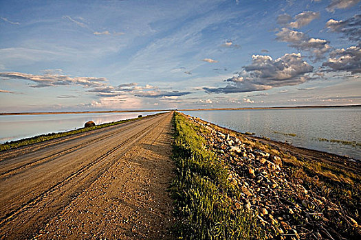道路,芦苇,湖,萨斯喀彻温,加拿大,浅,盐,局部,区域,一个,重要,场所,候鸟,北美