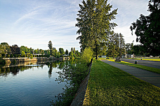 河,挨着,公园,山谷,温哥华岛,不列颠哥伦比亚省,加拿大