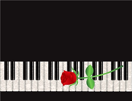 钢琴,背景,红玫瑰,插画
