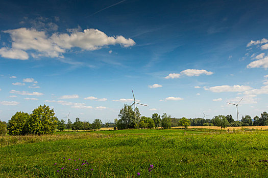风景,公园,波兰