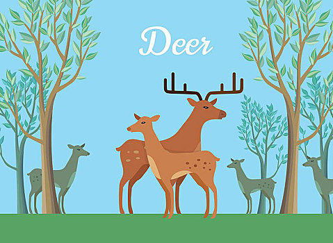 有趣,一对,鹿,插画,背景,树林,走,草地,动物,大,鹿角,矢量,野生动物