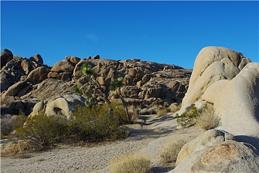 小路,怪诞,岩石构造,约书亚树国家公园,加利福尼亚