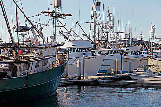 捕鱼,港口,圣芭芭拉,加利福尼亚
