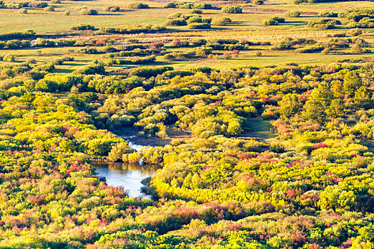 额尔古纳国家湿地秋景