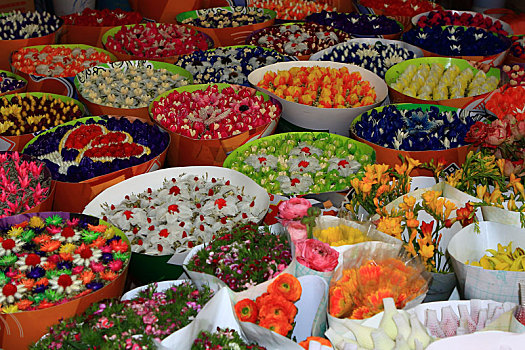云南昆明花卉市场