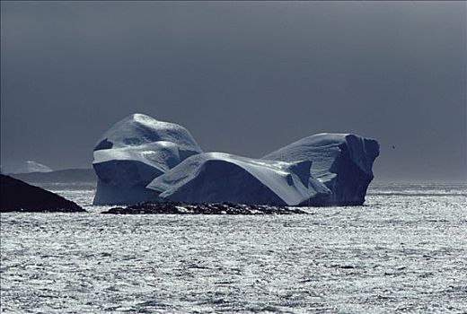 冰山,半岛,南极