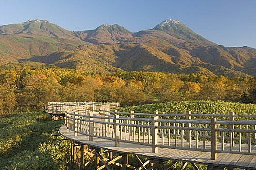 木板路,国家,公园,北海道,日本