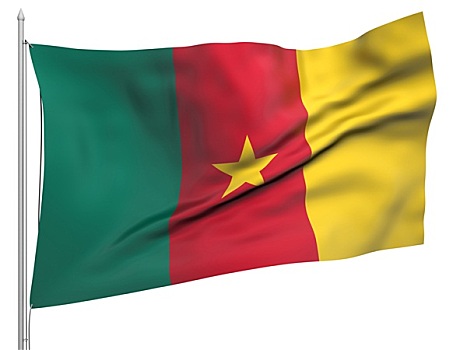 飞,旗帜,喀麦隆,国家