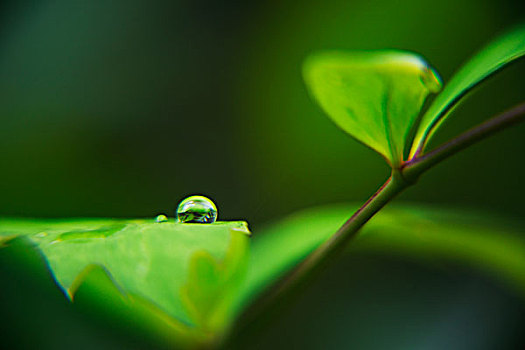 水滴壁纸