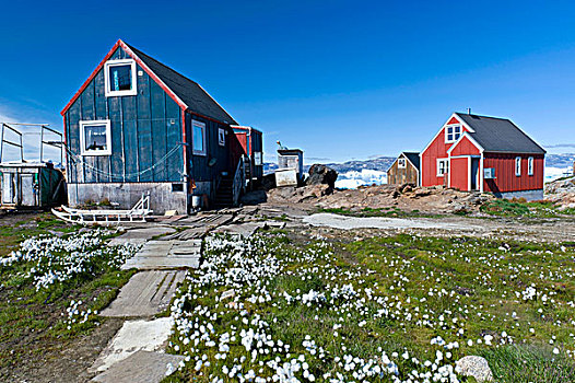 因纽特人,房子,草,住宅区,峡湾,格陵兰东部,格陵兰