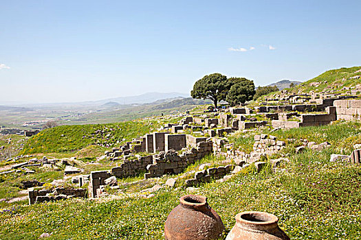 圣坛,发掘地,古城,帕加马,贝加盟,土耳其