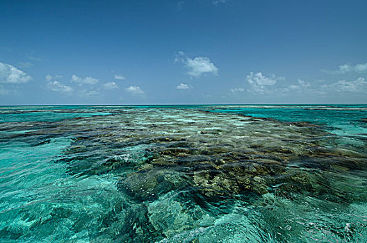 珊瑚礁,灯塔,礁石,环礁,伯利兹