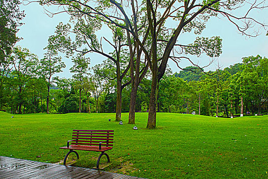 贵阳小车河湿地公园美景