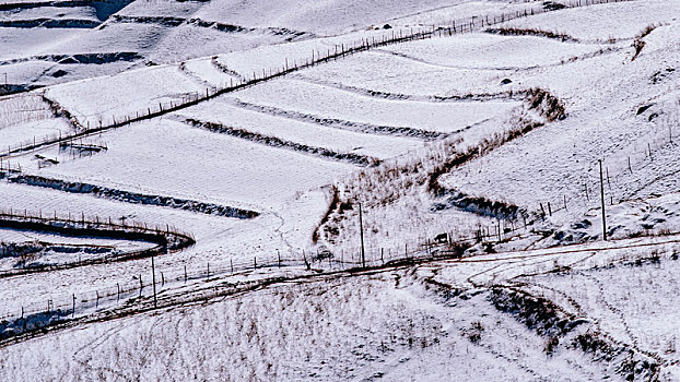 白雪覆盖乡野