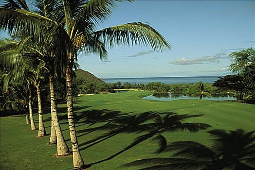 夏威夷,毛伊岛,室外,草地,麦肯那高尔夫俱乐部