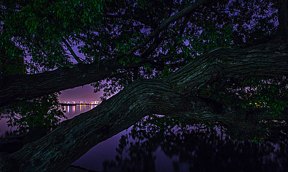 杭州西湖夜景