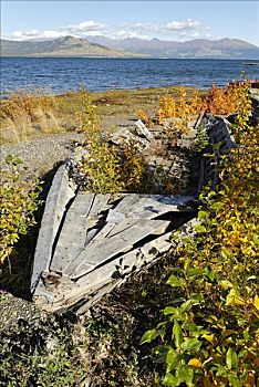 老,渔船,克卢恩湖,育空地区,加拿大