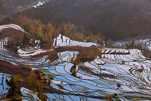 云南元阳蜿蜒梯田田园风光