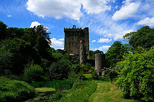 布拉尼城堡,城堡,科克郡,爱尔兰