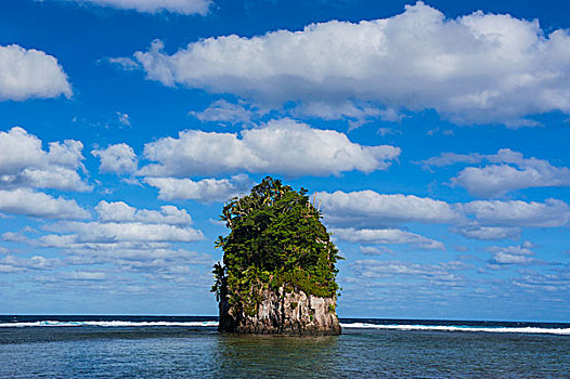 一个,石头,椰树,岛屿,美洲,萨摩亚群岛,南太平洋