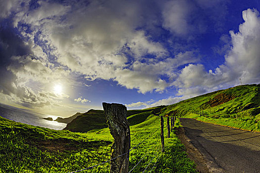 木篱,道路,火山口,背景,哈雷阿卡拉火山口,湾,毛伊岛,夏威夷,美国