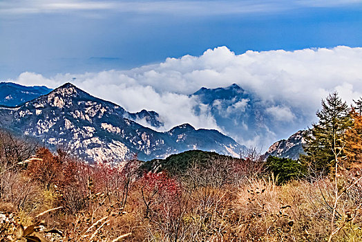 山东省泰安市泰山自然景观