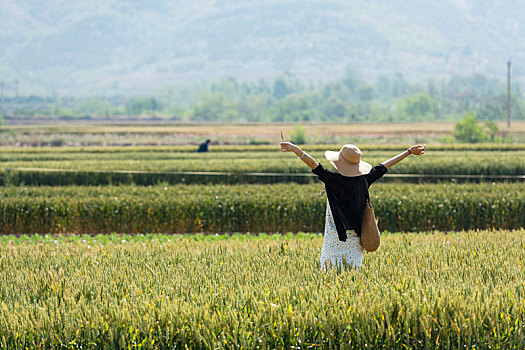 守望麦田