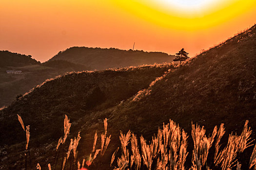 阳光下的宜昌百里荒风景区