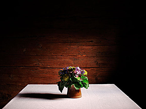 花束,花,陶瓷,花瓶,桌子,白色,布,老,农舍,奥地利