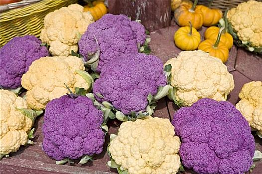 紫色,黄色,花椰菜,农场