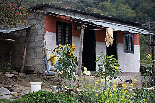 波卡拉,尼泊尔,户外,房子