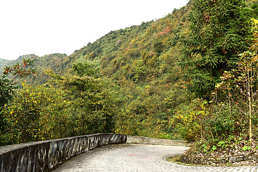 农村山区道路