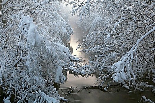 溪流,湿地,日落,冬天,大雪,埃尔瓦尔德,提洛尔,奥地利