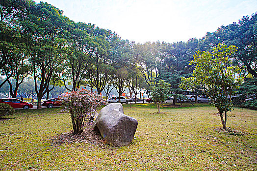 宁波大学,大学,学府,教育