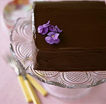 巧克力蛋糕,装饰,紫花