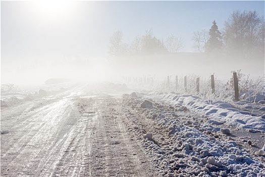 雾状,冬天,道路