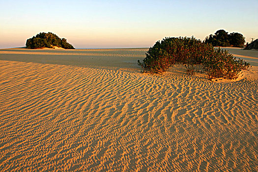 荒漠景观,南邦国家公园,西澳大利亚州,澳大利亚