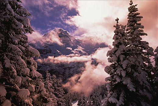 山,少女峰,瑞士