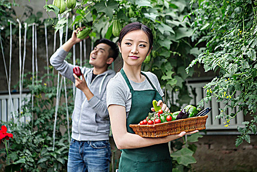 正在大棚里进行采摘的情侣