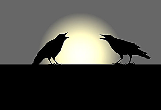 两个,大乌鸦,剪影,夕阳