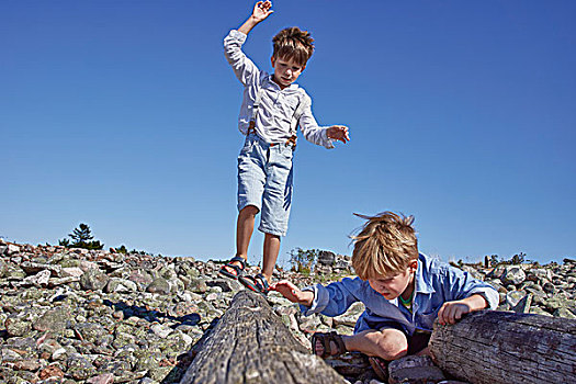 两个男孩,玩,浮木,海滩